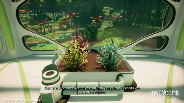 Plantes poussant dans une cuve de culture Honeycomb