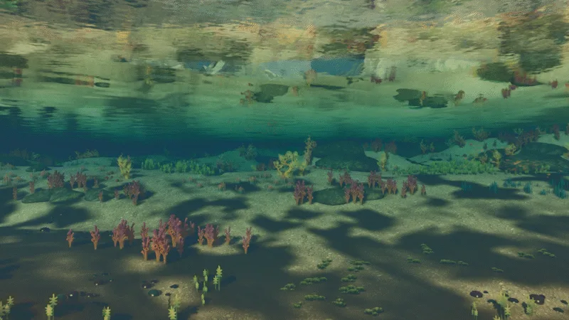 Vue sous-marine officielle de l’Aquatic Zone sur Sota7